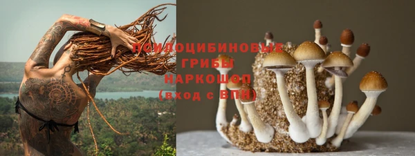 спиды Алексин