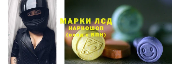 крисы Алзамай
