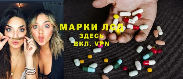 крисы Алзамай