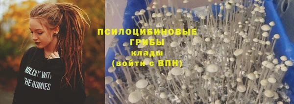 спиды Алексин