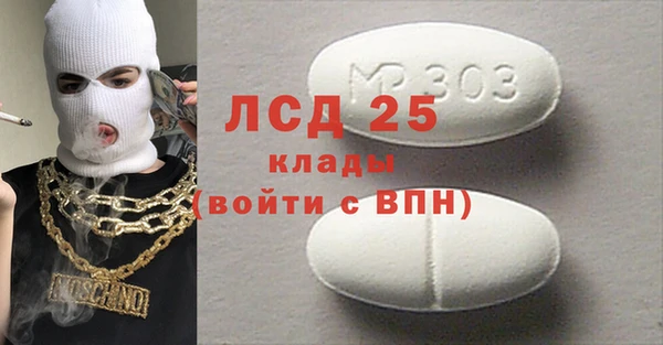 крисы Алзамай