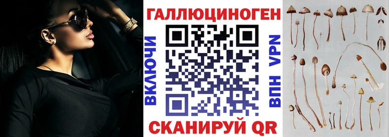 MEGA ссылки Асино Псилоцибиновые грибы Psilocybe
