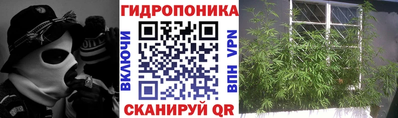 Каннабис тримм  Асино 